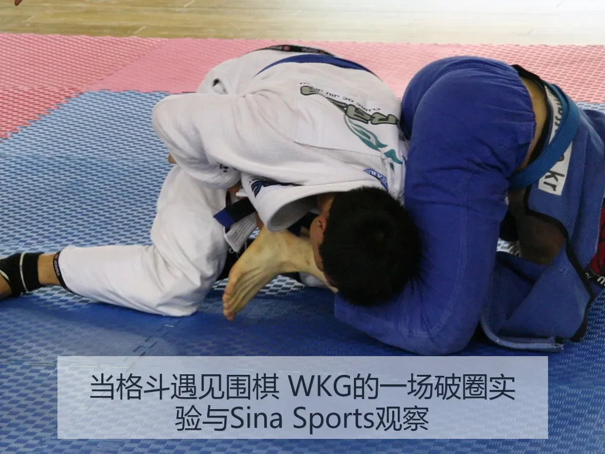 当格斗遇见围棋 WKG的一场破圈实验与观察