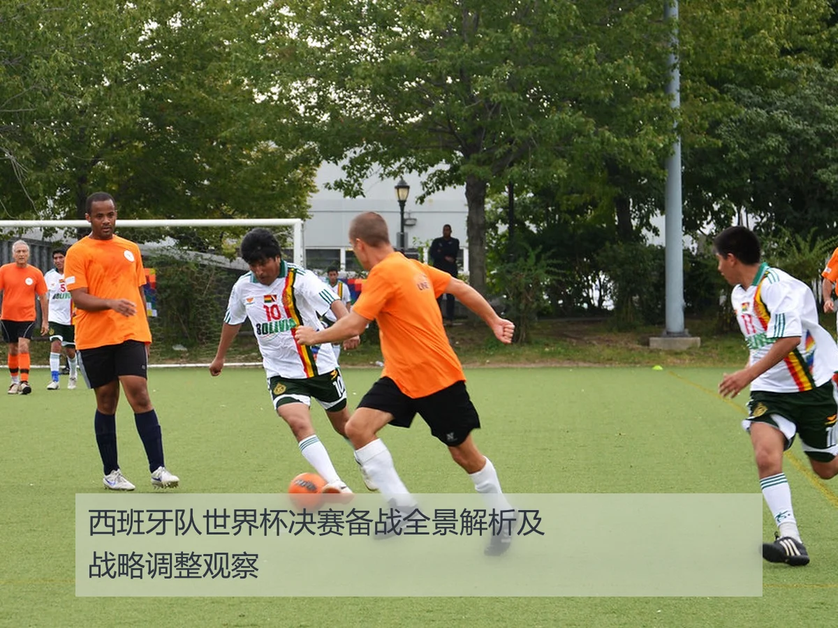 西班牙队世界杯决赛备战全景解析及战略调整观察