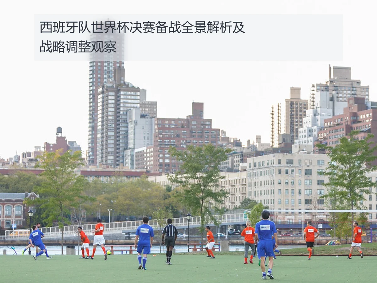 西班牙队世界杯决赛备战全景解析及战略调整观察