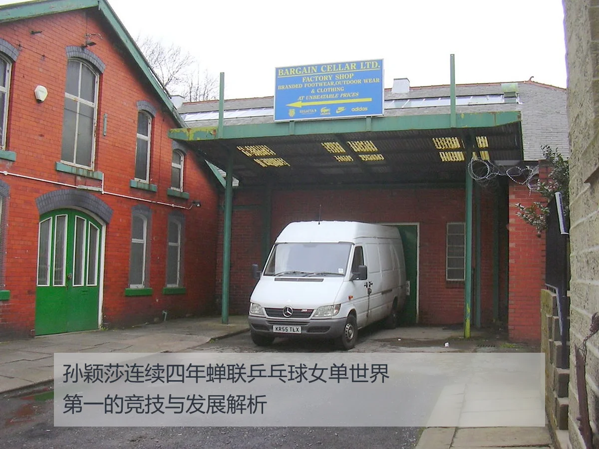 孙颖莎连续四年蝉联乒乓球女单世界第一的竞技与发展解析